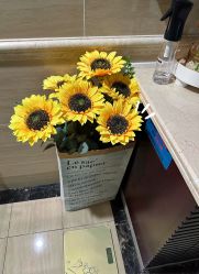 -YooMee优美智能科技美肤机构