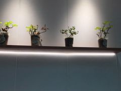 -快乐番薯(金沙天街店)