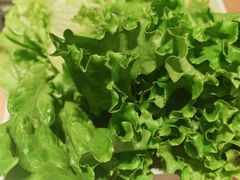 -新石器烤肉(南站店)