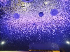 -尚康·按摩SPA·经络养生会所(东城总店)