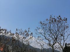 -西南政法大学(沙坪坝校区)