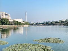 -东山湖公园