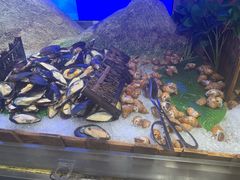-千滋百味自助烤肉火锅(东门町店)