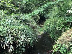 -法云古村