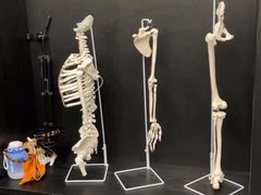 -TOP健身私教工作室(侨香店)