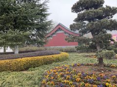 -横店圆明新园