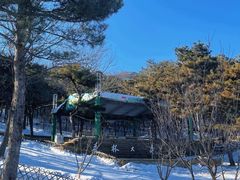 -北京西山国家森林公园