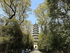 -灵谷景区