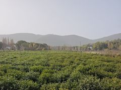 -九龙潭景区