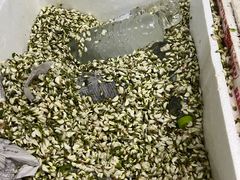 -岳各庄批发市场(西四环中路店)