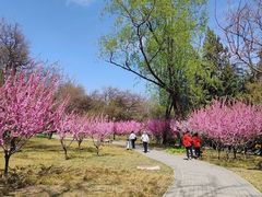 -玲珑塔公园
