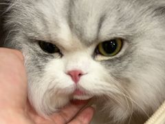 -御宝贝24h宠物医院·转诊中心·CT核磁血透中心(厦门总院)
