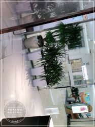 -罗亚帝造型·烫发染发
