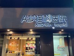 -御宝贝·A梦猫科宠物医院(国际猫友好医院)