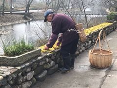 -鹿亭中村