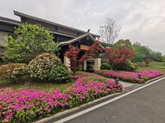 -万达锦华温泉酒店