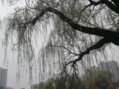 -金冠水饺(校场街店)