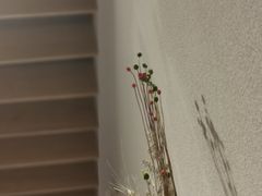 -煮叶(悠唐广场店)