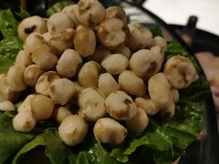 -凤园椰珍·臻品椰子鸡(保利时光里店)