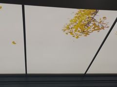 -京味斋·烤鸭·北京菜(安贞店)