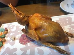 -大鸽饭(岗顶店)