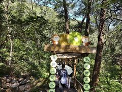 -大岭沟猕猴桃谷风景区