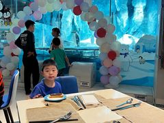 -帝企鹅自助餐厅•儿童岛•真企鹅(长隆企鹅酒店)