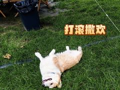 -圣露庄园·亲子活动乐园·露营·团建婚礼