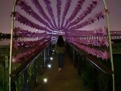 -幸福湖国际会议中心