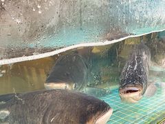 -浔味·山屿湖·正宗淳牌全鱼宴老字号