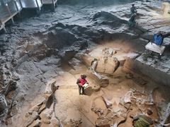 -自贡恐龙博物馆