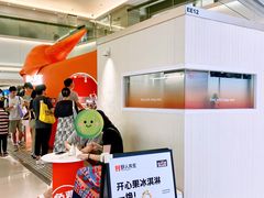 -野人先生现做冰淇淋(北京王府井东方新天地店)