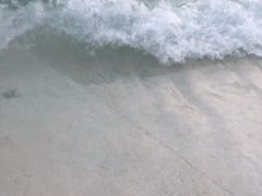 -重庆海昌加勒比海水世界