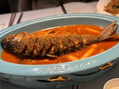 -阿五黄河大鲤鱼(英协路店)