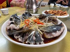 -煲来饱去冷水鱼