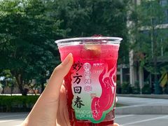 -炖物24章·顺时轻养茶(黄龙店)