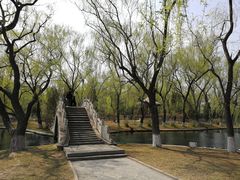 -百脉泉景区