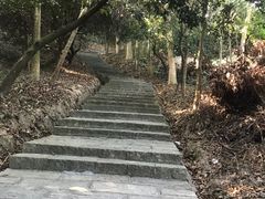 -凤岗南门山森林公园