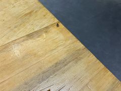 -袁记串串香(涧西总店)