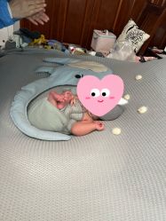 -西瓜庄园儿童摄影