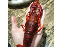-赤甲皇(仙霞路店)