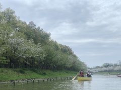 -上海海湾国家森林公园