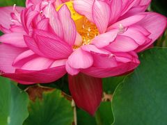 -南戴河国际娱乐中心