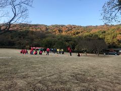 -龙寺生态园