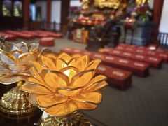 -上海东林寺(金山区)