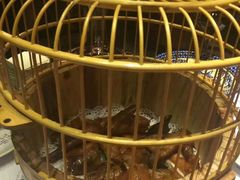 -胡桃里音乐酒馆(万科城市广场店)