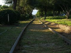 -永定河休闲森林公园