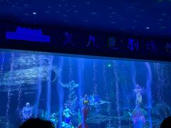 -多彩贵州城极地海洋世界