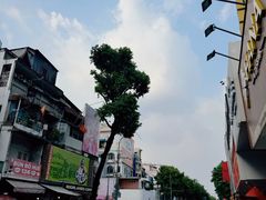 -耶稣圣心堂