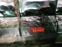 -干老四雅鱼饭店(滨江西路店)